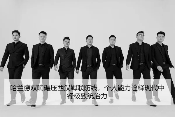 ha-lan-de-shuang-xiang-nian-ya-xi-han-mu-lian-fang-xian-ge-ren-neng-li-quan-shi-xian-dai-zhong-feng-ji-zhi-tong-zhi-li-2-642.jpg